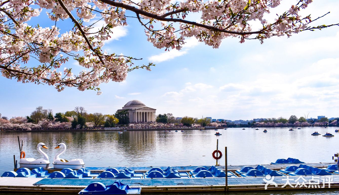 华盛顿樱花节
