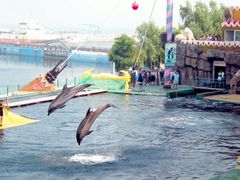 -秦皇岛乐岛海洋王国