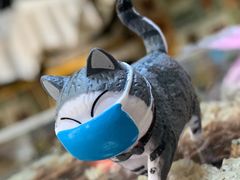 -喵屿·大理花园猫咖