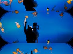 -太平洋海底世界