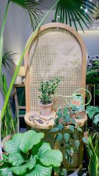 -芳香乐府疗愈空间·SPA·冥想