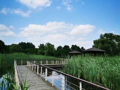 -同里国家湿地公园