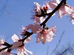 -三里河公园