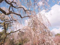 -京都御所