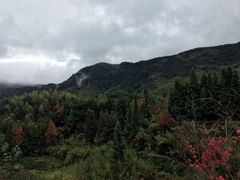 -塔川景区