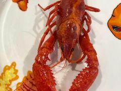 -霸王虾·麻辣小龙虾(清水河公园店)