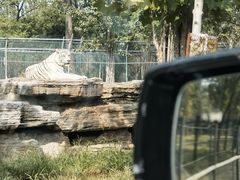 -秦皇岛野生动物园