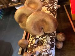 -谭鸭血老火锅(漳州路店)