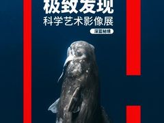 -凤凰国际书城(凤凰广场店)