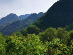 -秦岭风景区
