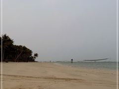 -东郊椰林
