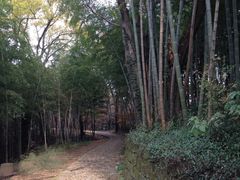 -西湖风景区十里琅珰-五云山