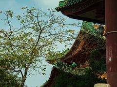 -顺峰山公园