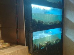 -海玥荟海鲜姿造自助餐厅(欧罗巴广场店)