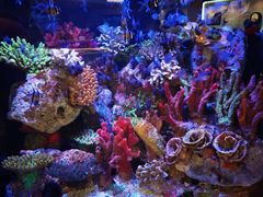 -上海海洋水族馆