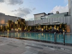 -新加坡乌节希尔顿酒店 (SG Clean)