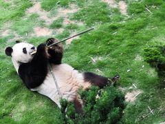 -西霞口神雕山野生动物世界