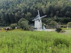 -宁波浙东大竹海景区