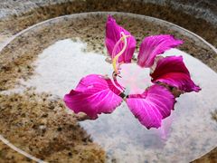 -碧水湾温泉