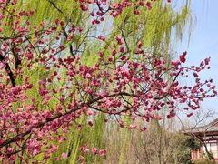 -西安市长乐公园