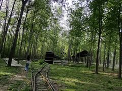 -合肥滨湖国家森林公园