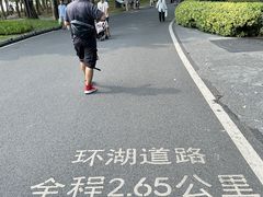 -海珠湖公园