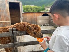 -宁波九龙湖开元度假村