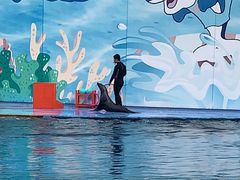 -北戴河圣蓝海洋公园