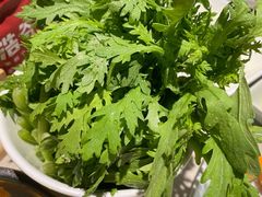-浩爷羊蝎子火锅(望京店)