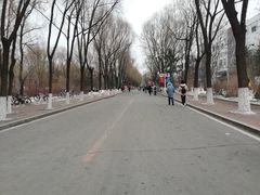 -吉林大学(前卫南区)
