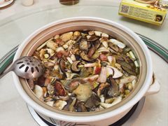 -爱膳菌锅锅(阳南店)