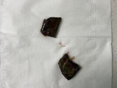 -瑞派宠物医院东莞中心医院·24H转诊·异宠(新河北路院)