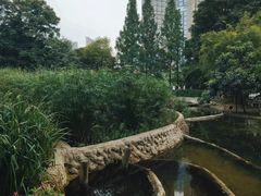 -成都市活水公园