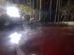-江南天池高山汤泉城