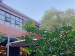 -Willing·Coffee&Brunch&Dinner(万达店)