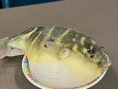 -肆月河豚·新淮扬(金融街店)