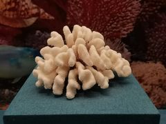 -上海中国航海博物馆