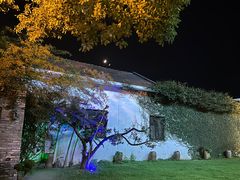 -健眺小海鲜(临海后山店)