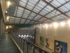 -南京奥林匹克体育中心-体育馆