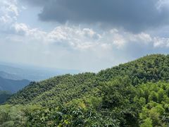 -莫干山风景区