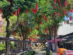 -德云居