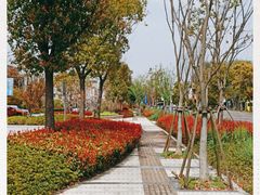 -佘山国家森林公园-西佘山停车场