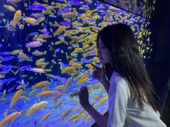 -成都浩海立方海洋公园