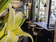 -Apollo·西班牙小酒馆(安福路店)