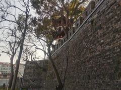 -川沙古镇-停车场