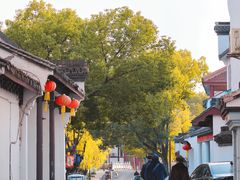 -丝绸小镇荻港古村