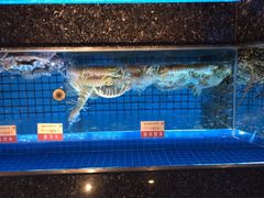 协成海鲜火锅-协成海鲜火锅(情侣路店)