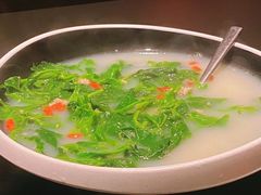 -羽鸽集·乳鸽专门店·地道顺德菜(岭南站店)