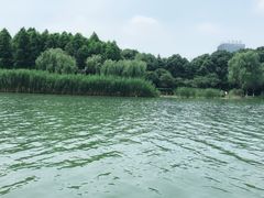 -暨阳湖生态园