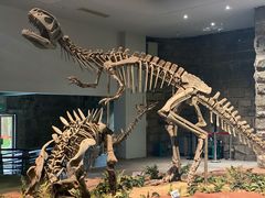 -自贡恐龙博物馆